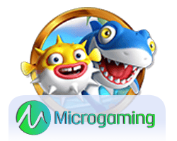 วิธีเล่น play n go slot สำหรับนักเดิมพันมือใหม่